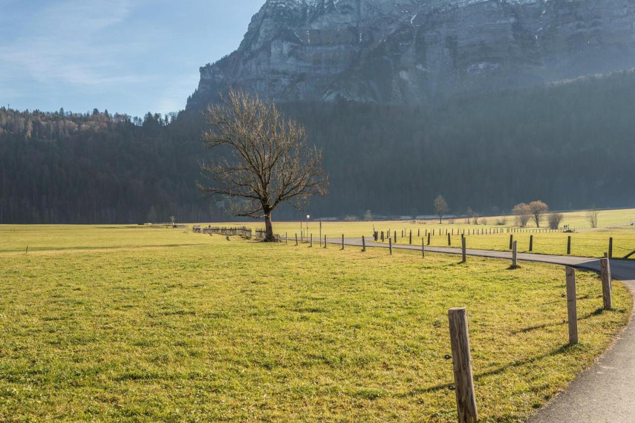 Kanisfluhblick * Bizau