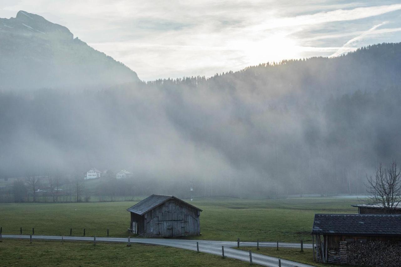 Kanisfluhblick * Bizau